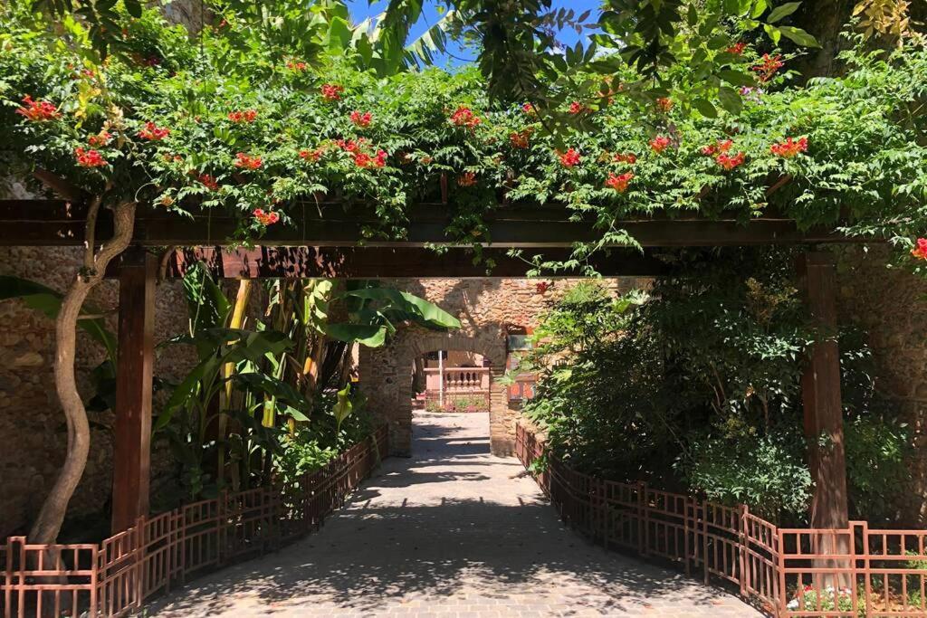 Carrer Del Sol Villa Sainte-Marie-la-Mer Kültér fotó